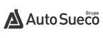 Auto Sueco